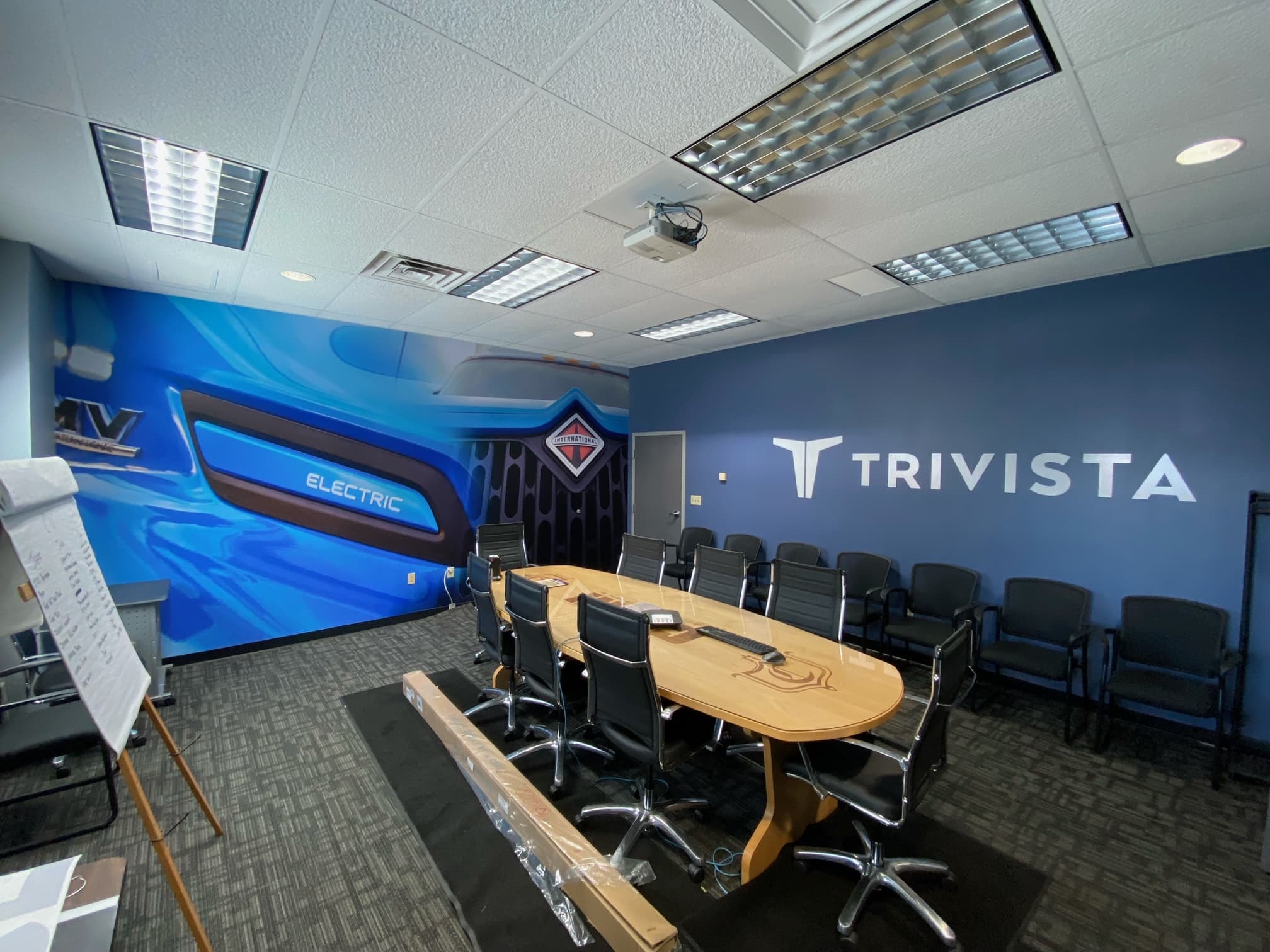 Cerni / Trivista interior wall graphics survey shot